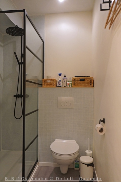 Bathroom_-shower_Airbnb2 Bathroom_-shower_Airbnb2